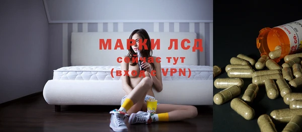 apvp Алексин