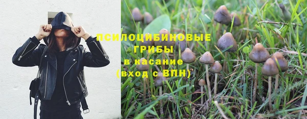 эйфоретик Алексеевка